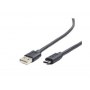 Cablexpert | USB-C cable | Male | 4 pin USB Type A | Male | Black | 24 pin USB-C | 3 m - 2